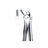 Extarcting Forceps 
